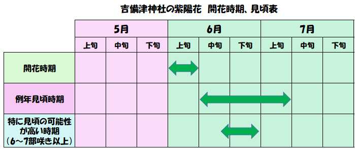 吉備津神社の紫陽花の開花時期や見頃時期の表