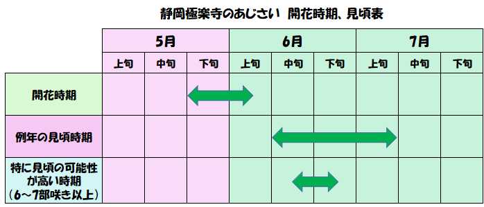 静岡極楽寺のあじさいの開花時期や見頃時期の表