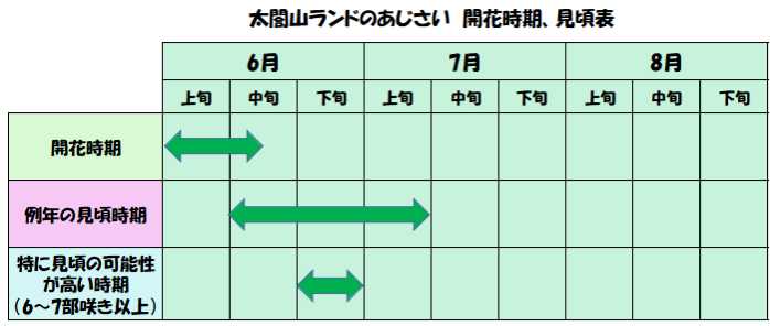 太閤山ランドのあじさいの開花時期や見頃時期の表