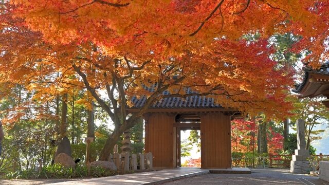 秋月城跡の紅葉22見頃や混雑状況は アクセスや駐車場についても解説 ココミミ情報局 花の見頃 イベント情報