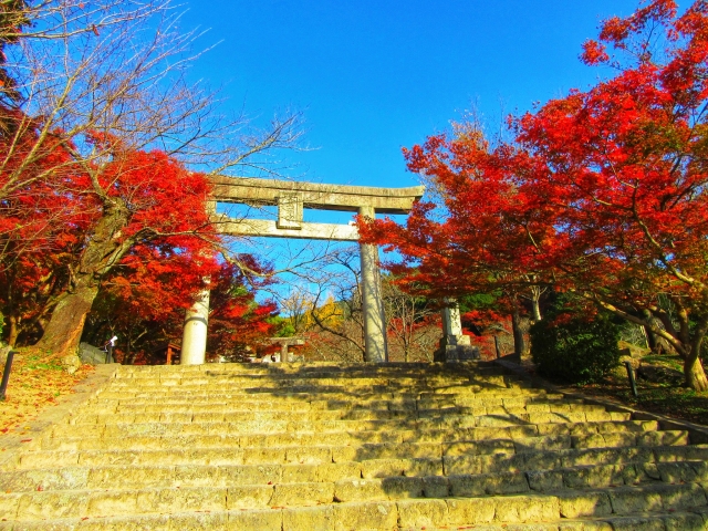 太宰府竈門神社の紅葉22見頃やライトアップは アクセスや駐車場も解説 ココミミ情報局 花の見頃 イベント情報