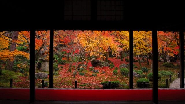 蓮華寺の紅葉