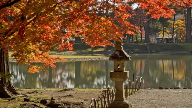 長岡天満宮の紅葉22見頃や混雑は ライトアップやアクセス 駐車場も解説 ココミミ情報局 花の見頃 イベント情報